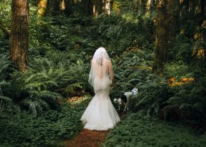 bride in dress
